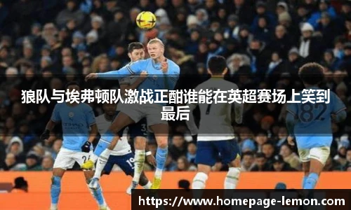 狼队与埃弗顿队激战正酣谁能在英超赛场上笑到最后
